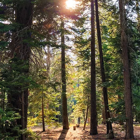 Tahoe Valley Campground-3